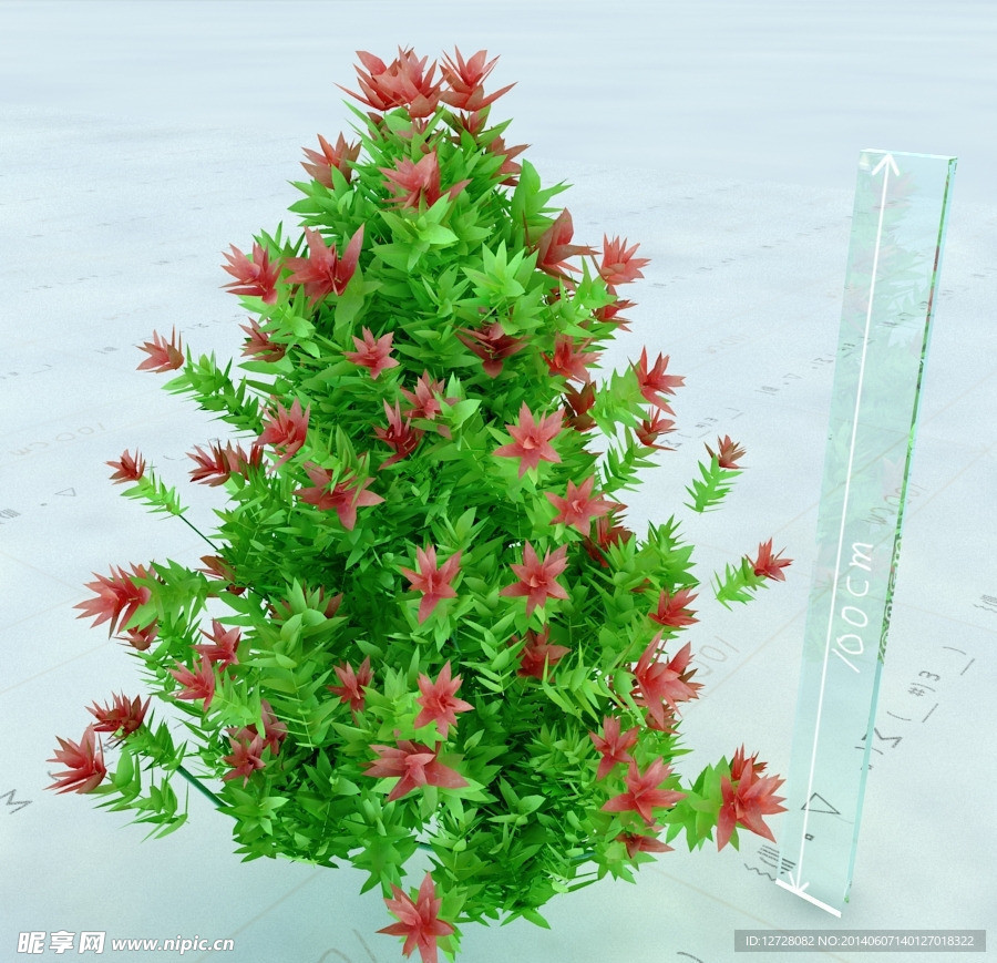 园林植物