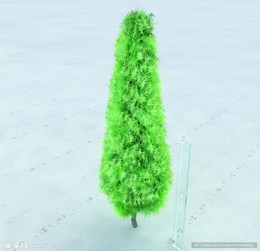 园林植物