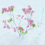 花模型