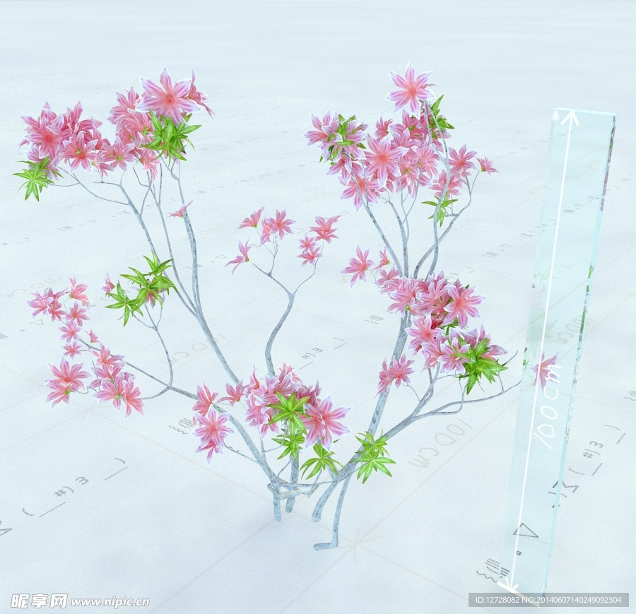 花模型
