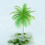 椰子树