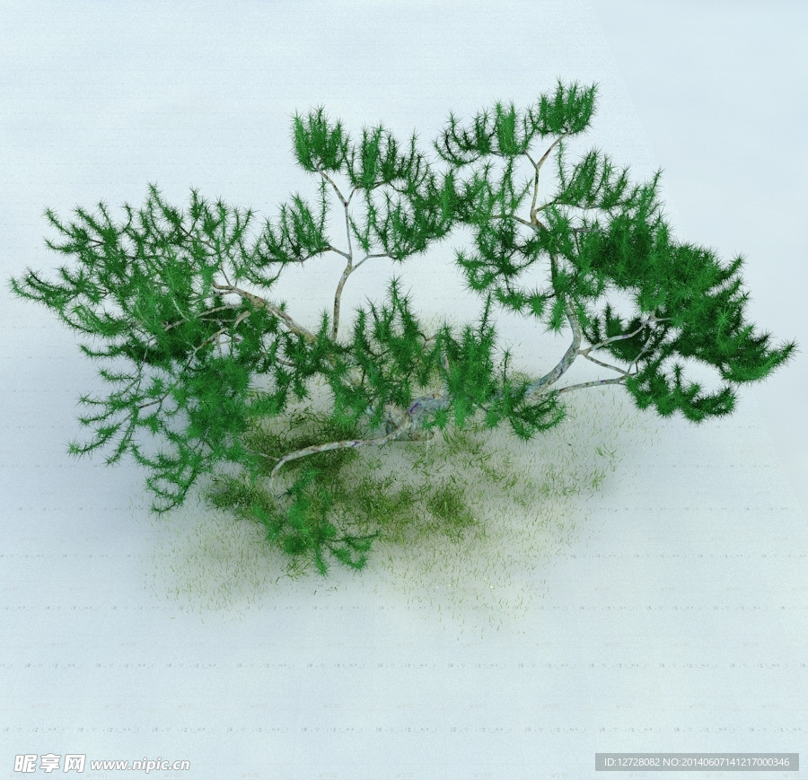 园林植物