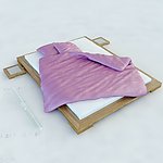 床模型