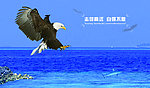 展板底图