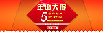 年中大促