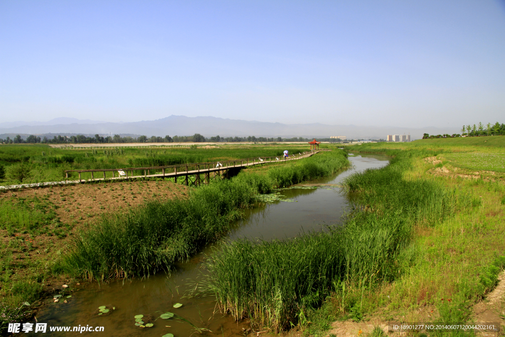 蔡家坡渭河湿地公园
