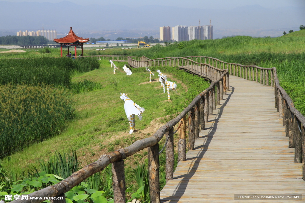 蔡家坡渭河湿地公园