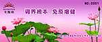 无限极 讲座入场券