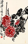 月季花