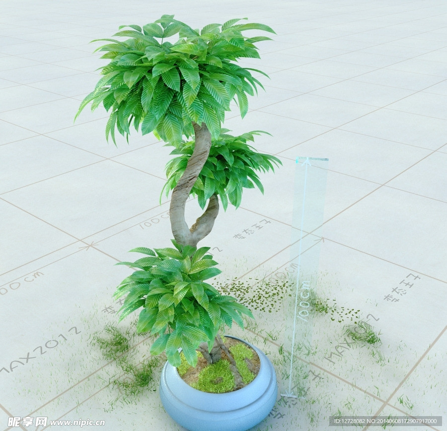 盆栽