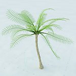 椰树