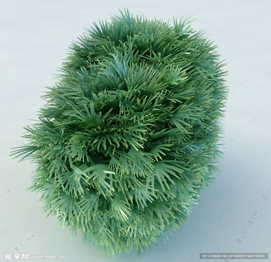 景观植物