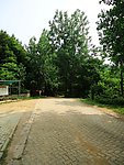 山路