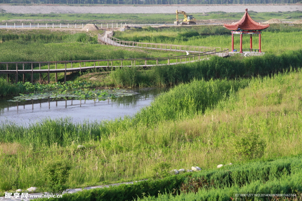 蔡家坡渭河湿地公园