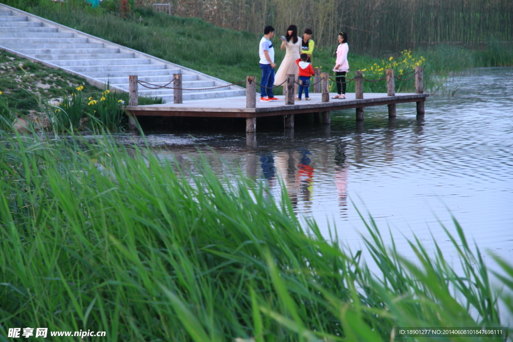 蔡家坡渭河湿地公园
