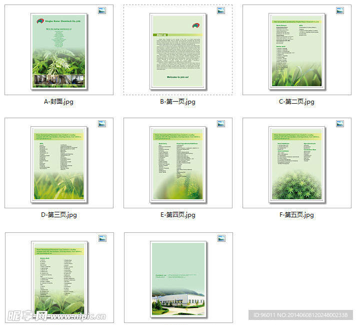 弘诺化工企业画册样本