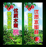 水蜜桃