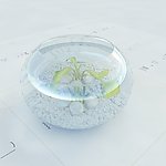 室内植物