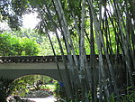 流花湖公园