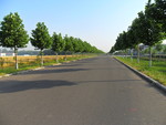 乡间公路