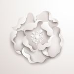 花朵背景花纹背景桌面