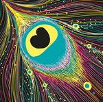 孔雀羽毛背景花纹 绚