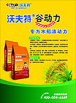 沃夫特谷动力DM背面
