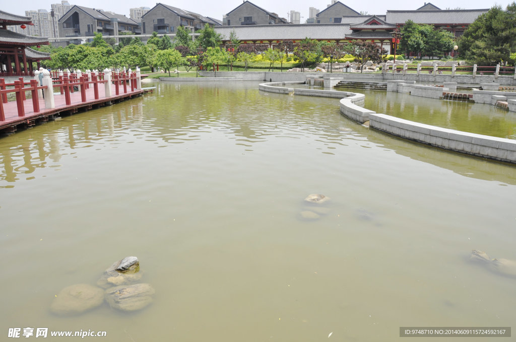 大唐芙蓉园风光