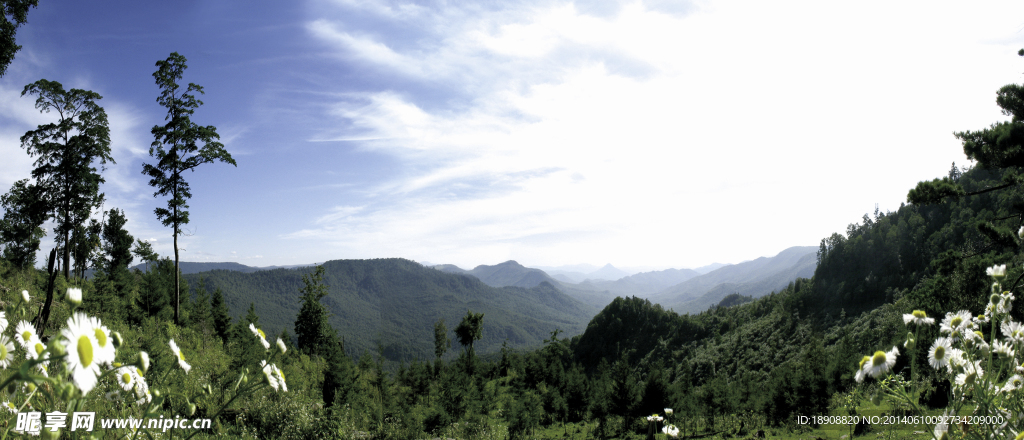 森林公园风景