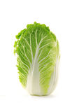 大白菜