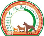 狗和人相应年龄