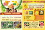 黄金蜜柚DM单
