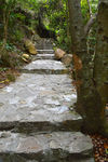 石板路