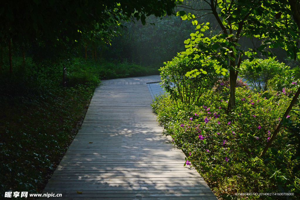 绿色木板小路