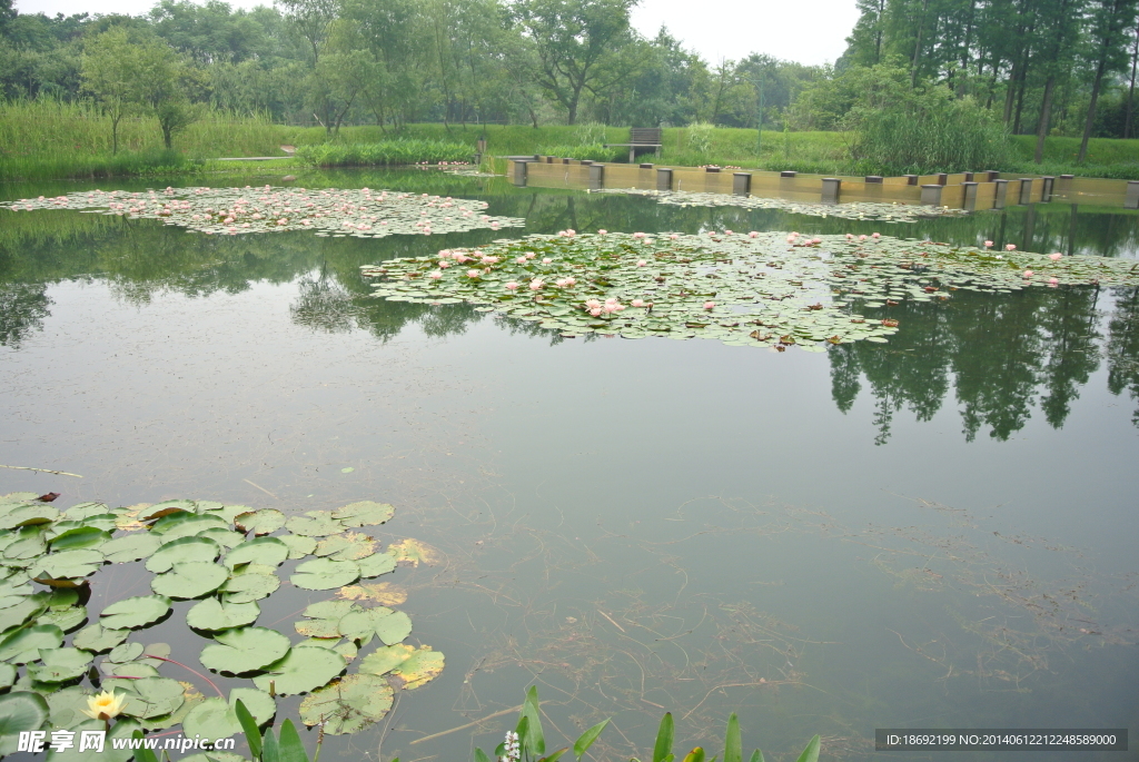 西溪湿地公园