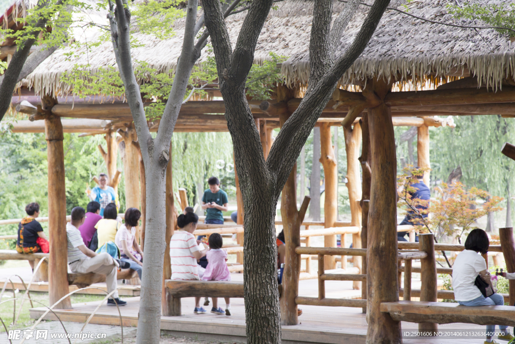 世纪公园小茅屋