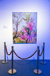 世纪公园美术展