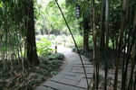 竹林小道