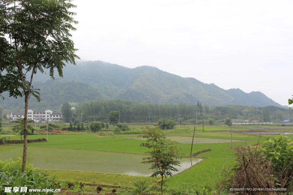 云岭罗里村风景