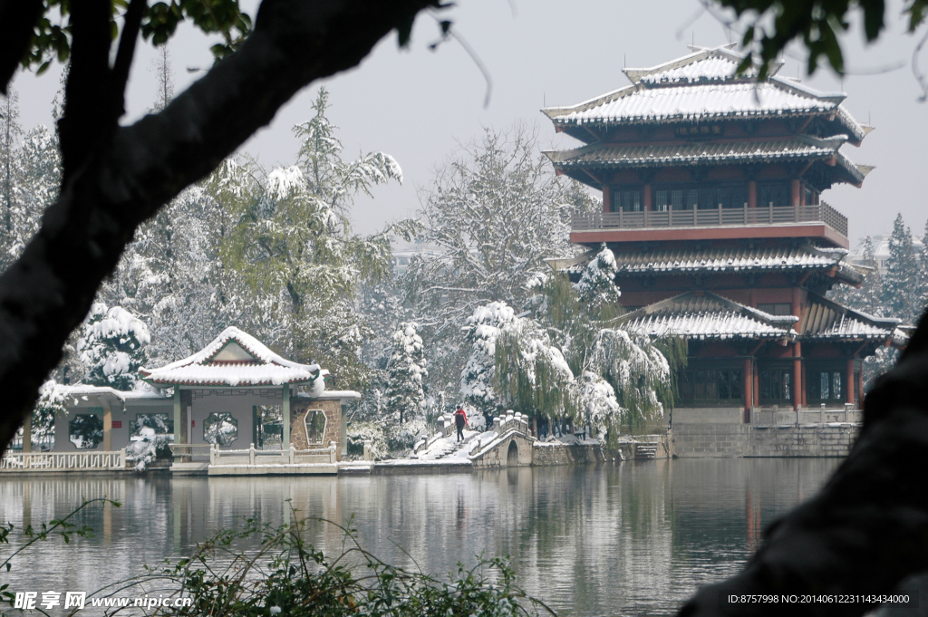 公园雪景