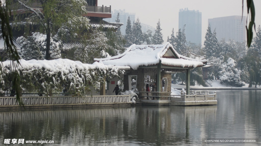 公园雪景