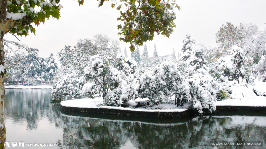 雪景