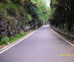 马路