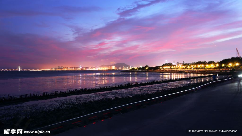 红树林夜景