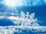 雪花