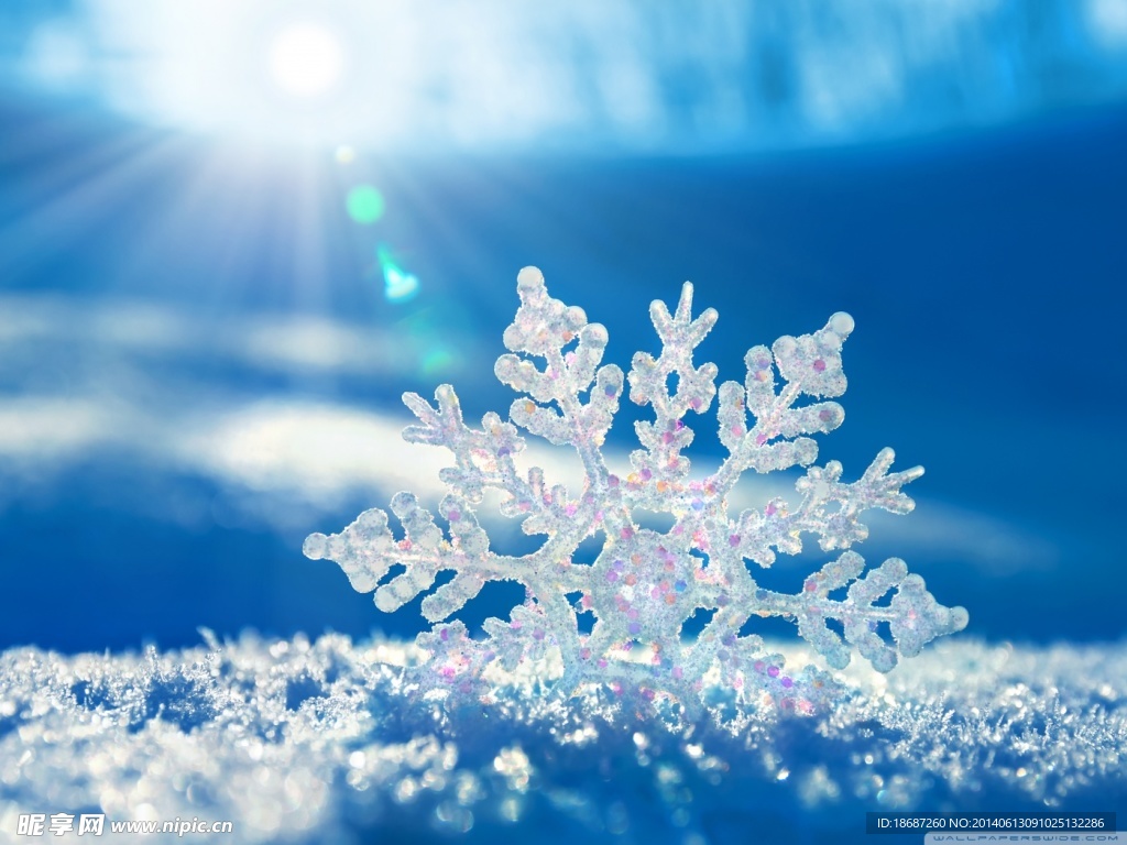 雪花
