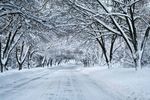 雪景