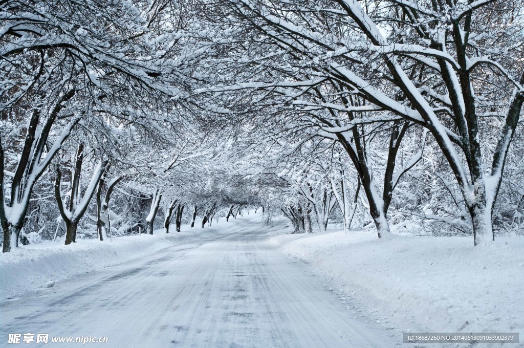 雪景