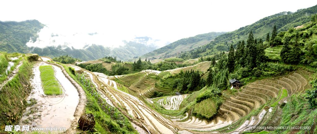 龙脊梯田全景图