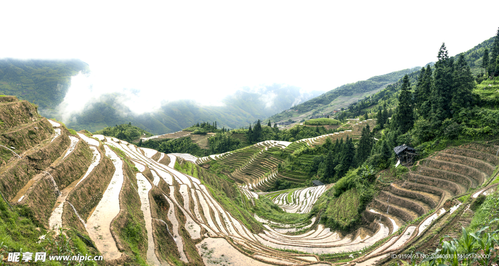 龙脊梯田全景图